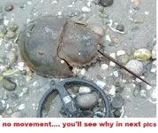 DSCF0398.webp
