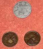 May_15_2011 007-crop.webp
