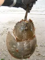 DSCF0400.webp