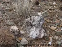 Quartz.webp