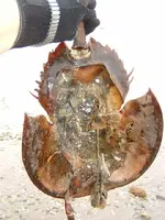 DSCF0401.webp