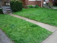 May_15_2011 001.webp