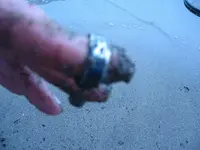 6-12-11 023.webp