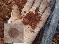 fuent 5.webp