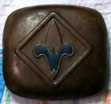 BoyScout Slide.webp