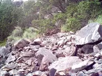 Standing Trowel or Trailside Flame.webp