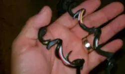 IMAG01232.webp