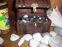009.webp