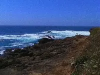 Mendocio County California Coast pics 013.webp