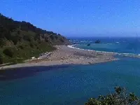 Mendocio County California Coast pics 019.webp
