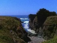 Mendocio County California Coast pics 012.webp