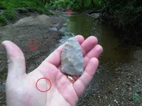 IMG00045-20110515-1005.webp
