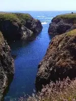 Mendocio County California Coast pics 011.webp