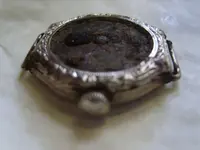S8000086.webp