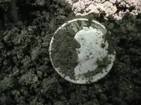 6-12-11 Finds 005.webp