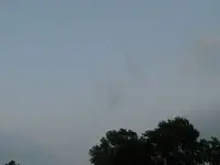 squitos 007.webp
