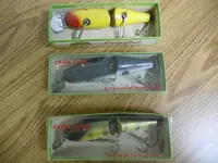 creek chub 002.webp