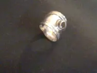 ring060111clean.webp