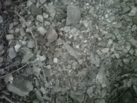 IMG01372-20110620-1958.webp