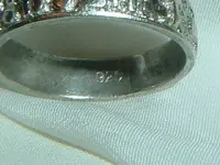 DSCF0389.webp