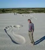 bigfoot_cj-wis.webp