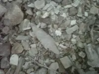 IMG01373-20110620-1958.webp