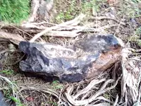 Logger Head-Dragon - A Piece of the Beast.webp