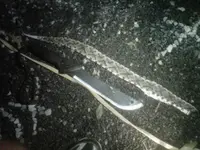 IMG01356-20110619-2210.webp