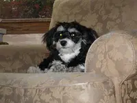 Lilly_Again 002.webp