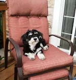 Lilly_Again 013.webp