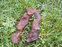 maybe horseshoe 2.webp