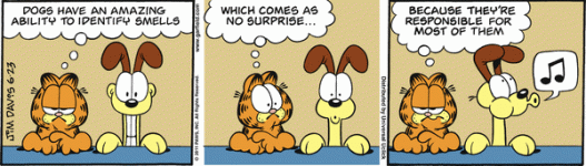 GARFIELD.gif