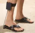avatar_51262.webp