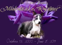 InLovingMemoryOfMiakoda_08June2011-1.webp