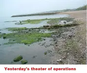 DSCF0332.webp