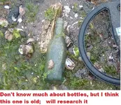 DSCF0335.webp
