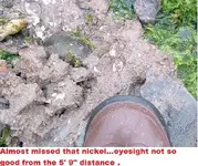 DSCF0340.webp