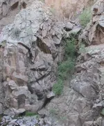 midlevelcloseup2.webp