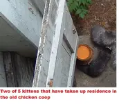 DSCF0334.webp
