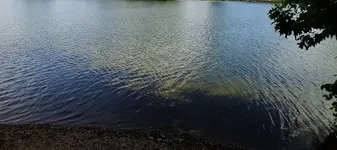 Filtered Water.webp