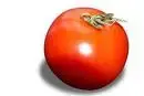 images.webp