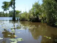 P4280076.webp