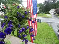 008.webp