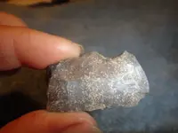 speckled flint 6.webp