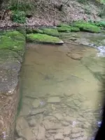 creek pic5.webp