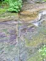 creek pic4.webp