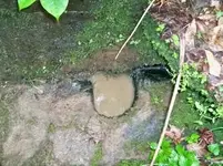 creek pic2.webp