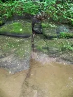 creek pic6.webp