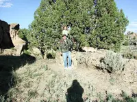 Pics 098.webp