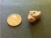 Coppernugget.webp